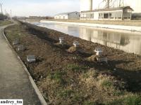 Imagine atasata: IMG_20141226_113607.jpg